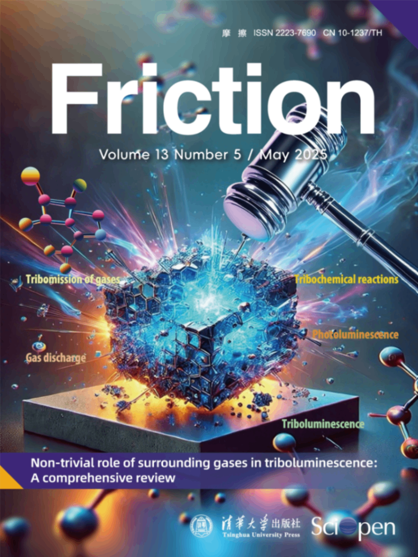 Friction_13_5_Cover.png