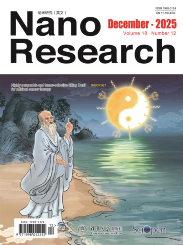 Nano+Research_18_12_Cover.png